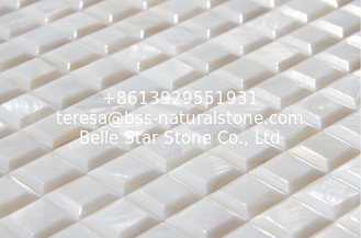 China High Block Surface Beautiful Seashell Wall Panel Freshwater Shell Decorating Panel 20x20mm supplier