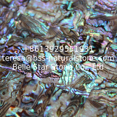 China Handmade Sea shell Wall Panel Abalone Shell Decorating Panel Shiny Colorfully in 20x20mm supplier