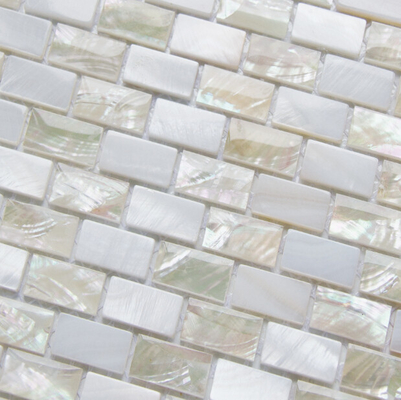 China Sea shell Mosaic Freshwater Shell Mixed White Abalone Shell Mosaic Square Pieces 10x20mm supplier