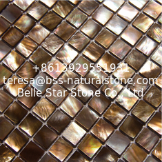 China Handmade Beautiful Sea shell Mosaic Penguin Shell Wall Mosaic Square Pieces 15x15mm supplier