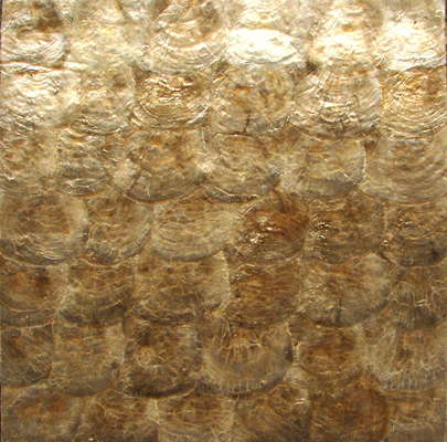China Natural Sea shell Wall Covering Golden Capiz Shell Decorating Wall Panel for interior wall supplier