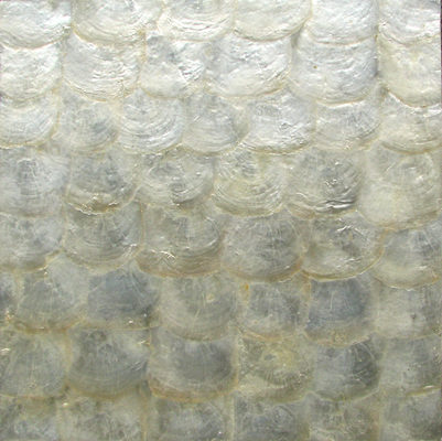 China Natural Sea shell Wall Covering Capiz Shell Decorating Wall Mosaic Panel for Interior supplier