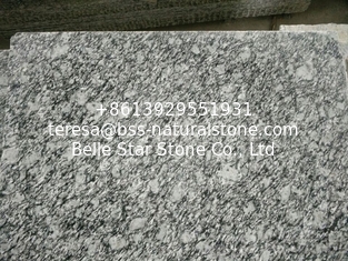 China Guangdong Silver Grey Granite Tiles Sea Wave Flower Granite Floor Tiles Granite Slabs supplier