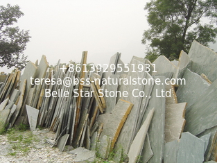 China Oyster Quartzite Random Flagstone,Yellow Quartzite Crazy Stone,Landscaping Stones supplier