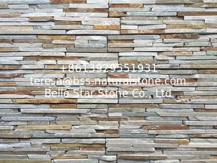 China Oyster Slate Cemented Culture Stone,Outdoor Oyster Stone Cladding,Beige Quartzite Stone Veneer supplier