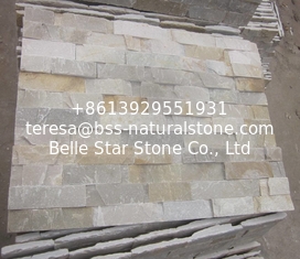China Oyster Mushroom Face Slate Stacked Stone,Indoor Oyster Culture Stone,Outdoor Oyster Ledgestone supplier