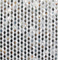 Natural Sea shell Wall Covering Black Butterfly Shell Mixed Freshwater Shell Wall Panel supplier