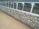 Natural Pebble Stone for Wall Decoration,Pebble Wall Cladding,Pebble Landscaping Stone,Pebble Stone Cladding,Pebble Wall supplier