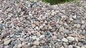 Natural River Pebble Stone,Multicolor Cobble Stone,Landscaping Stone,Wall Pebble Stone,Floor River Stone supplier