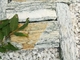 Lotus Green Marble Field Stone,Jade Green Marble Fieldstone Veneer,Green Loose Stone,Marble Loose Ledgestone supplier